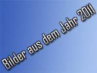 Jahr 2011